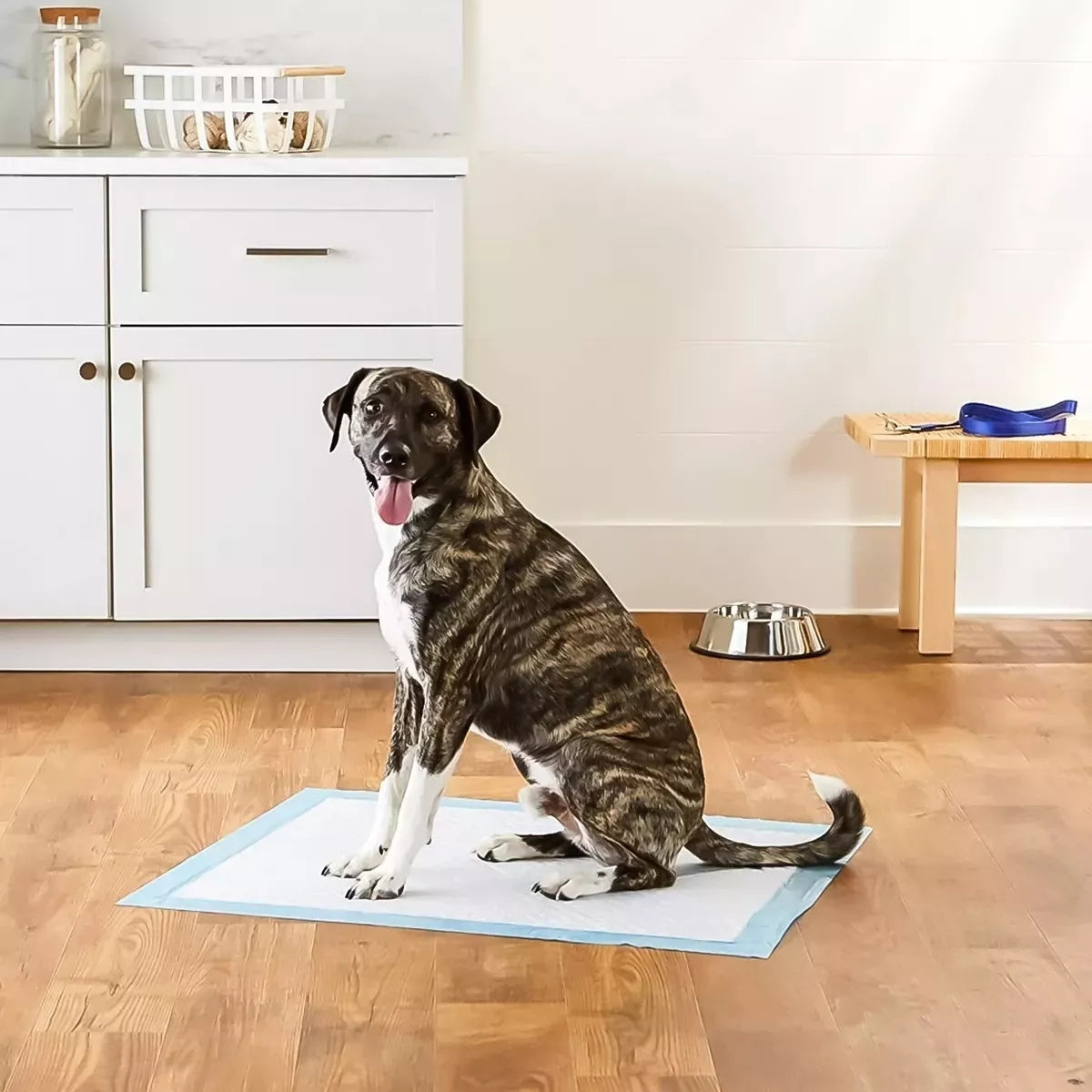 Sabanillas Para Mascotas 60x90 Baños Sanitario Pañales Para Perros Mascotas