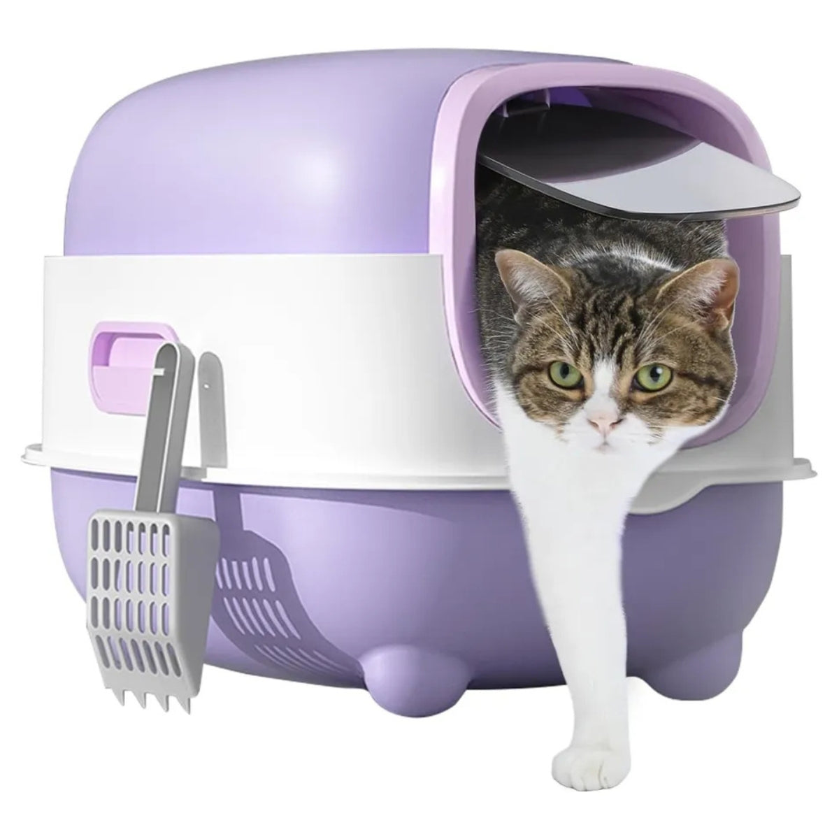 Arenero Gato Caja De Arena Cerrada Baño Sanitario Gatos