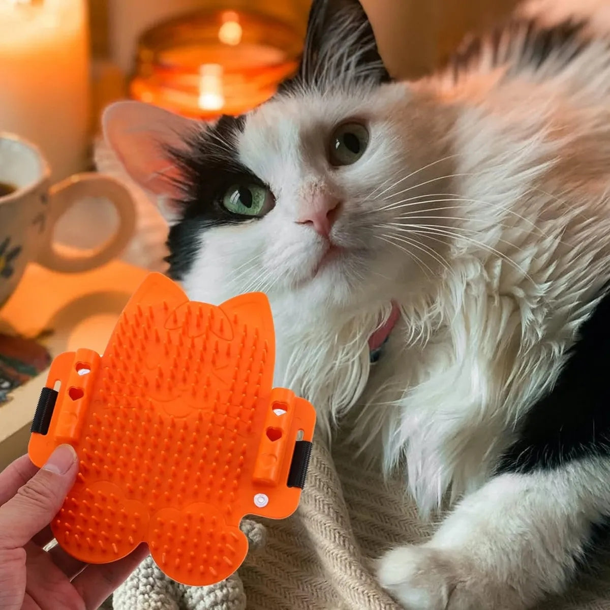 Rascador Para Gatos Mascotas Juguete Divertido Antiestres Rascadores