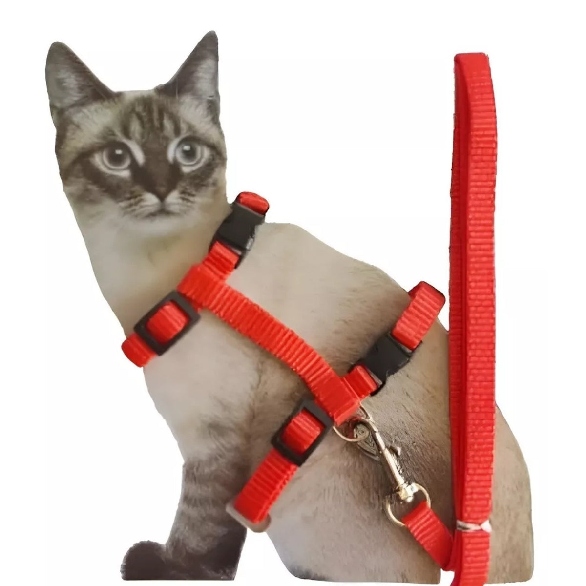 Set Arnes Para Gatos Correa Ajustable Paseo Arnes Mascotas