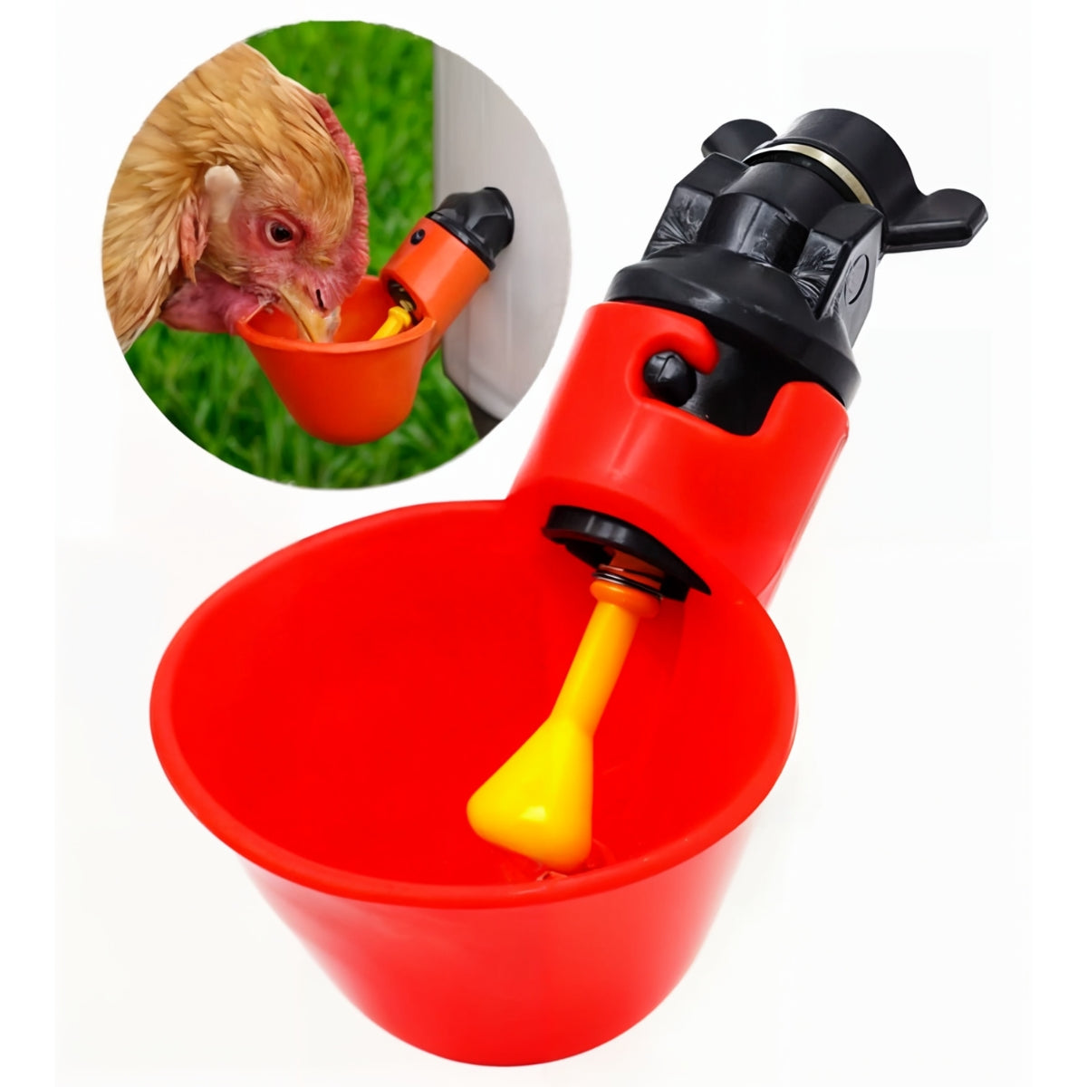 Bebedero Automático Aves Gallinas Pájaros Bebederos Pollos