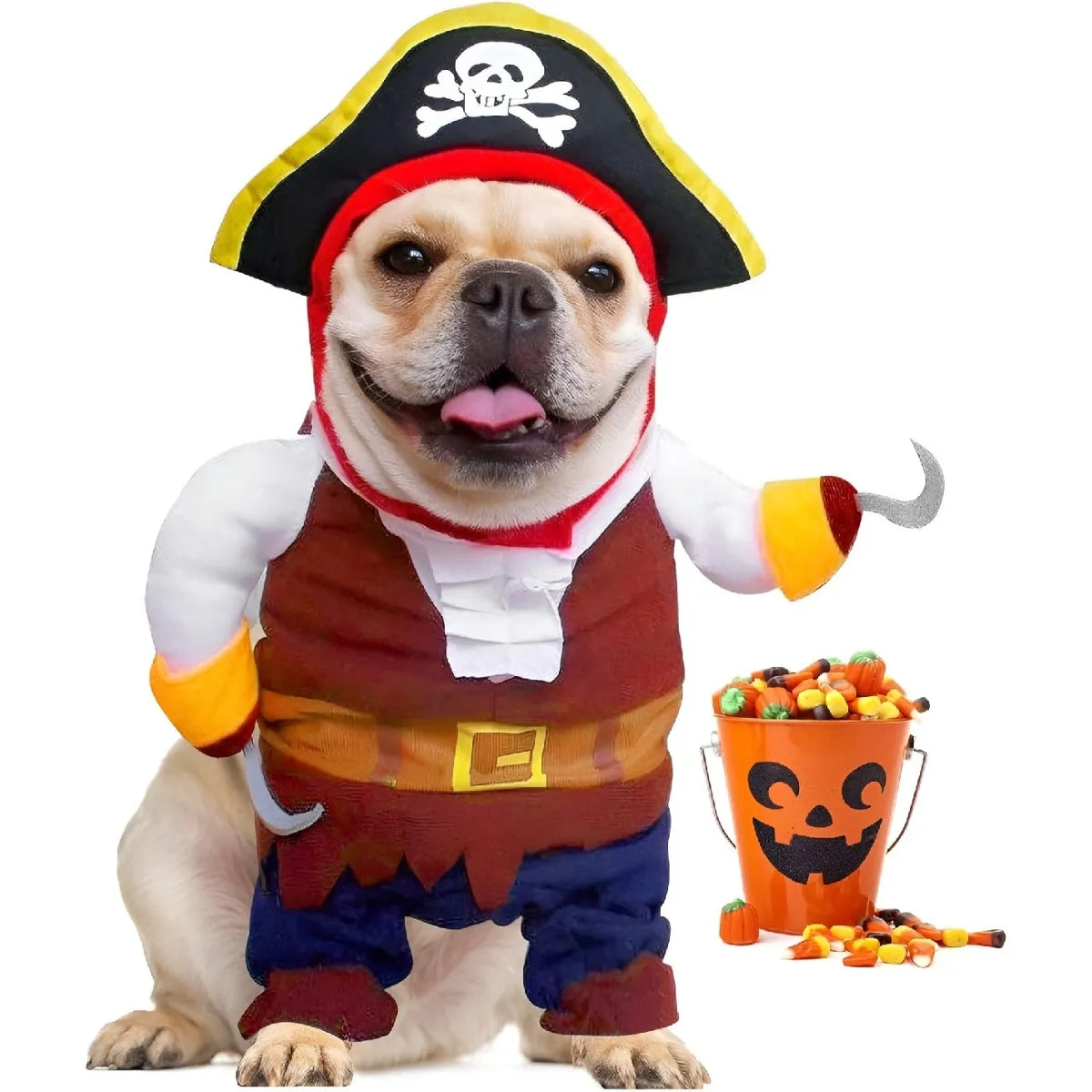Disfraz Gato Halloween Disfraz Pirata Perro Mascotas Disfrac