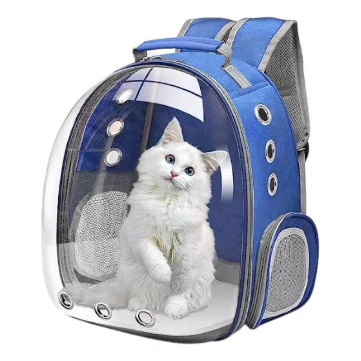 Mochila Gato Transportes Transparente Mascotas Gatos Bolso