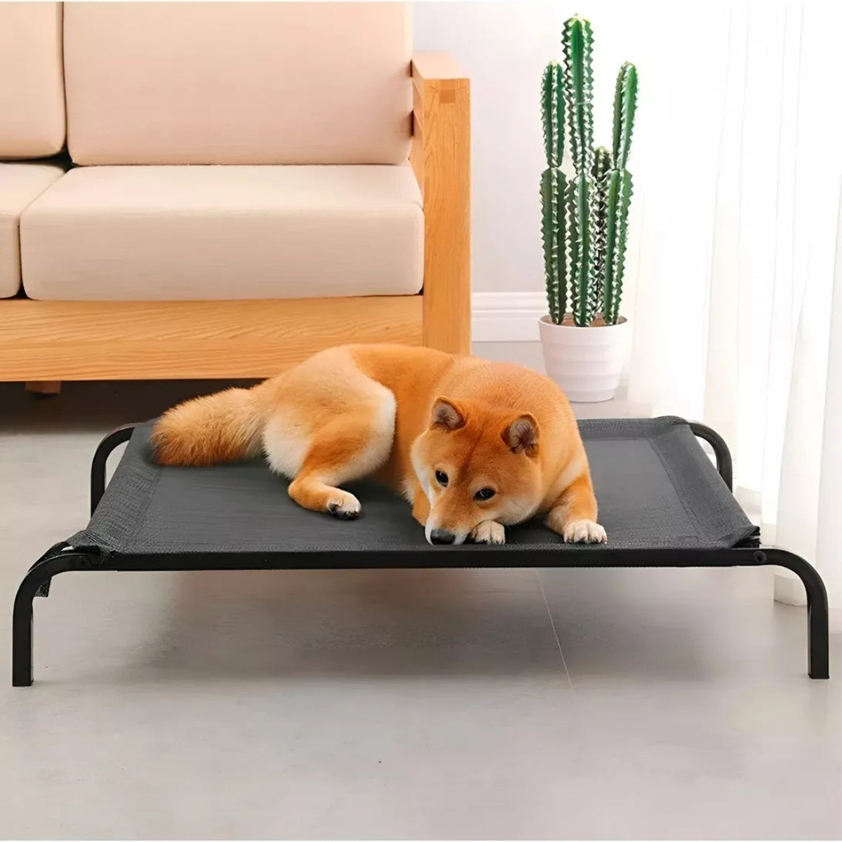 Cama Antiestres Perro Para Tus Mascotas Perros Mediano Elevada L