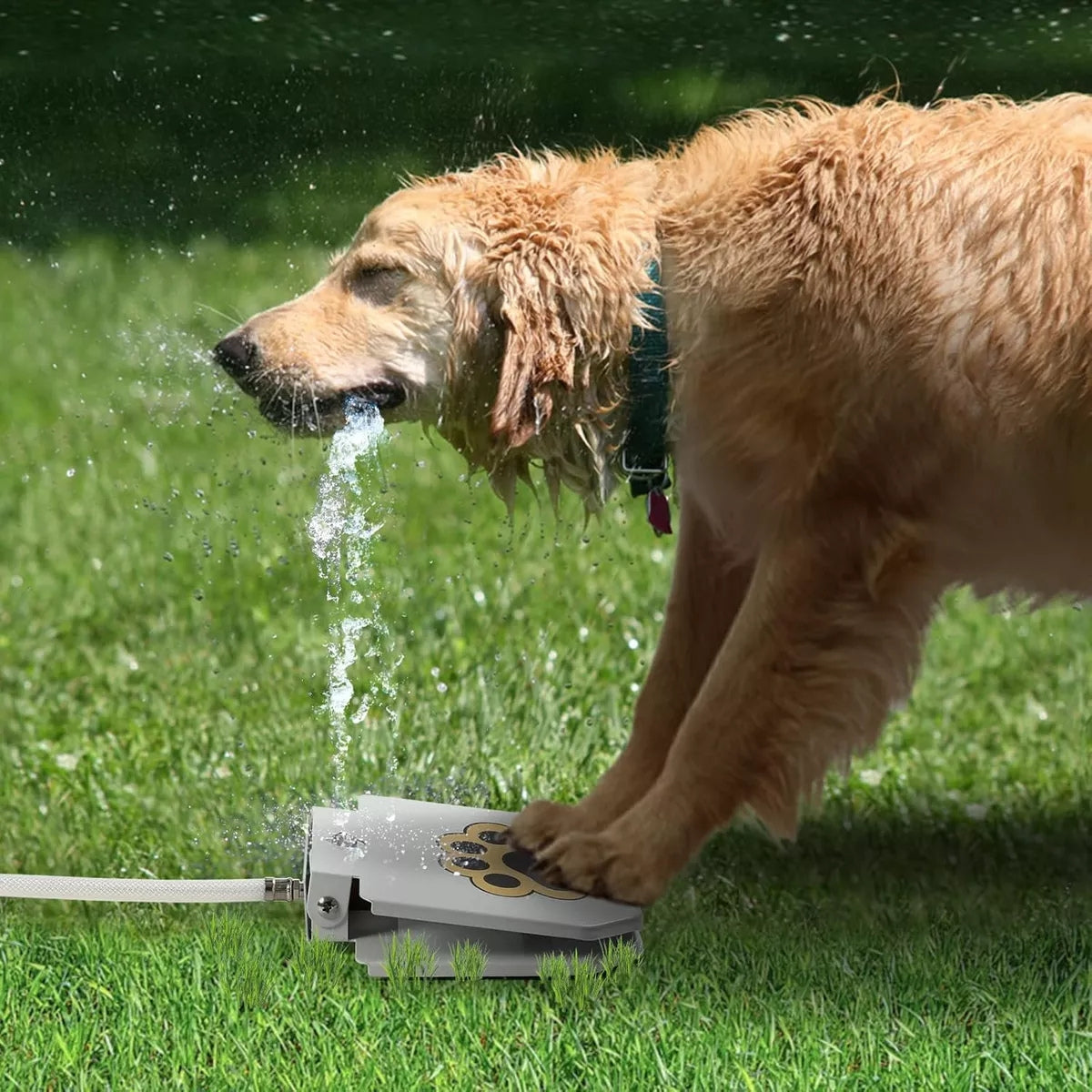 Bebedero Fuente Automática Para Perros Con Pedal Antideslizante Conexión Manguera Exterior Jardín Mascotas