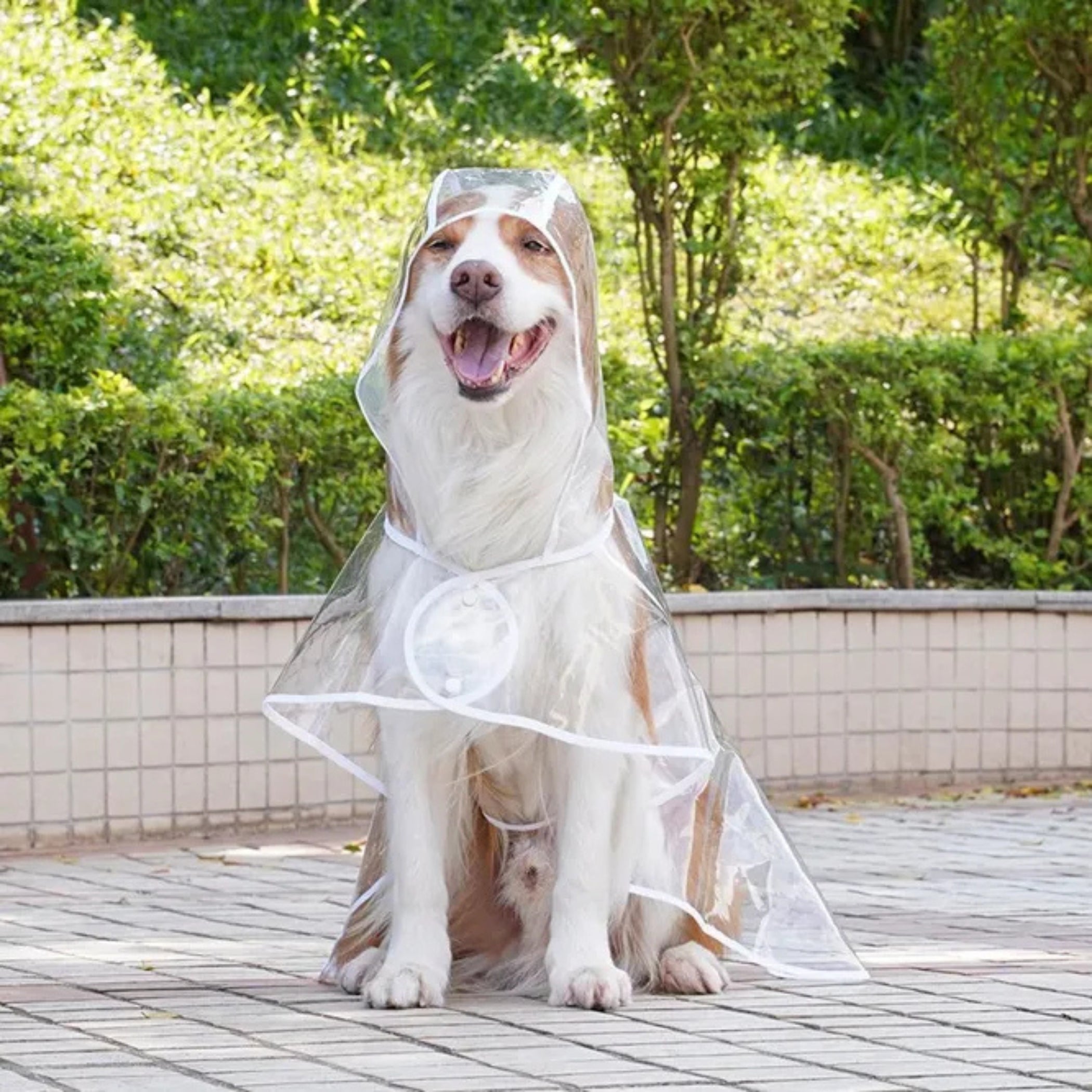 Capa De Lluvia Impermeable Transparente Para Perros Mascotas