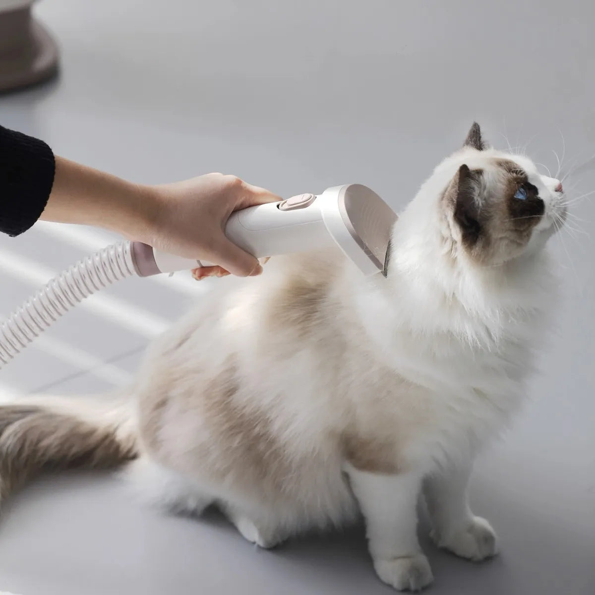 Kit De Aseo Mascotas Cepillo Aspiradora Pelos Perros Gatos