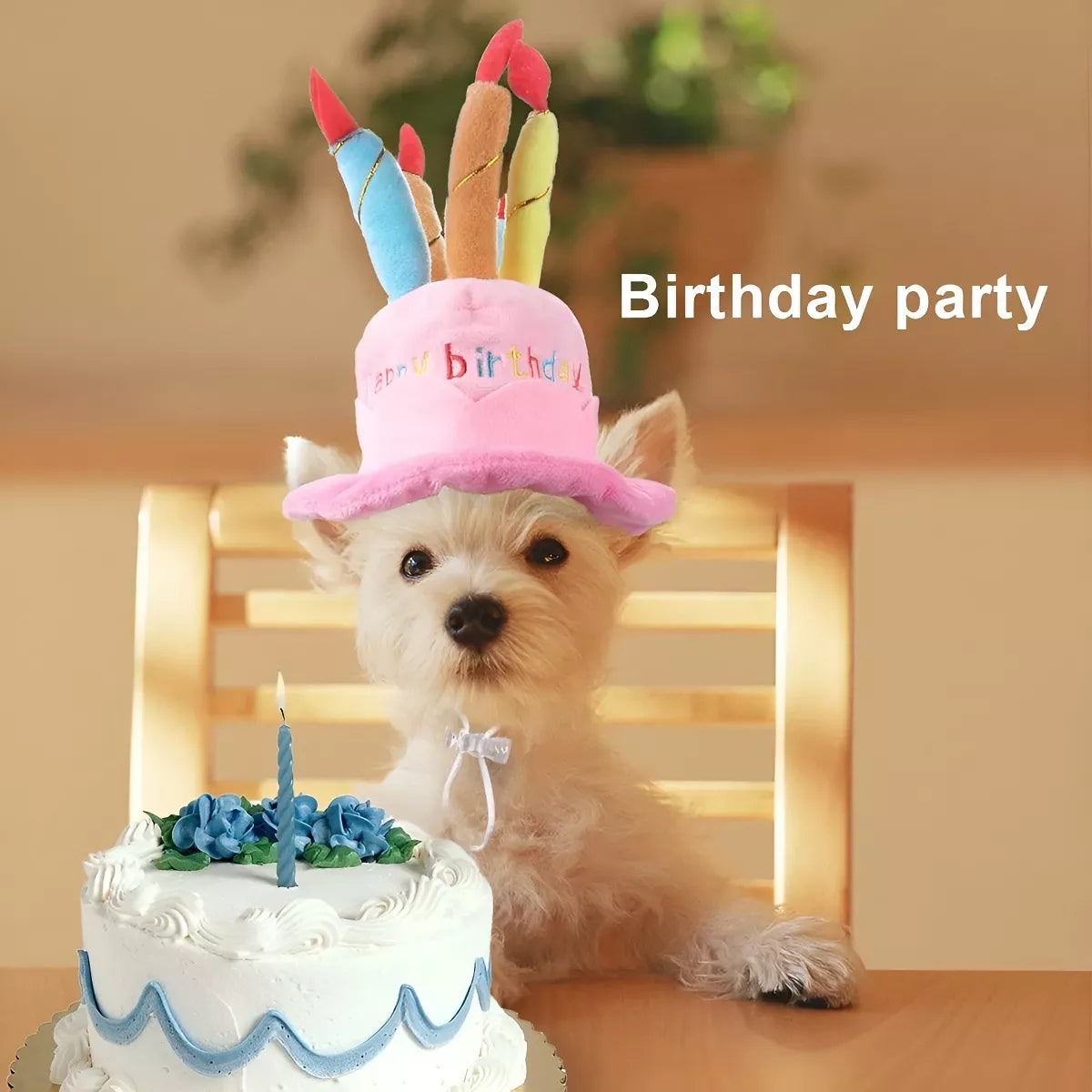 Disfraz para Gato Disfraz Gorro de Cumpleaños Disfraz para Perro Mascota