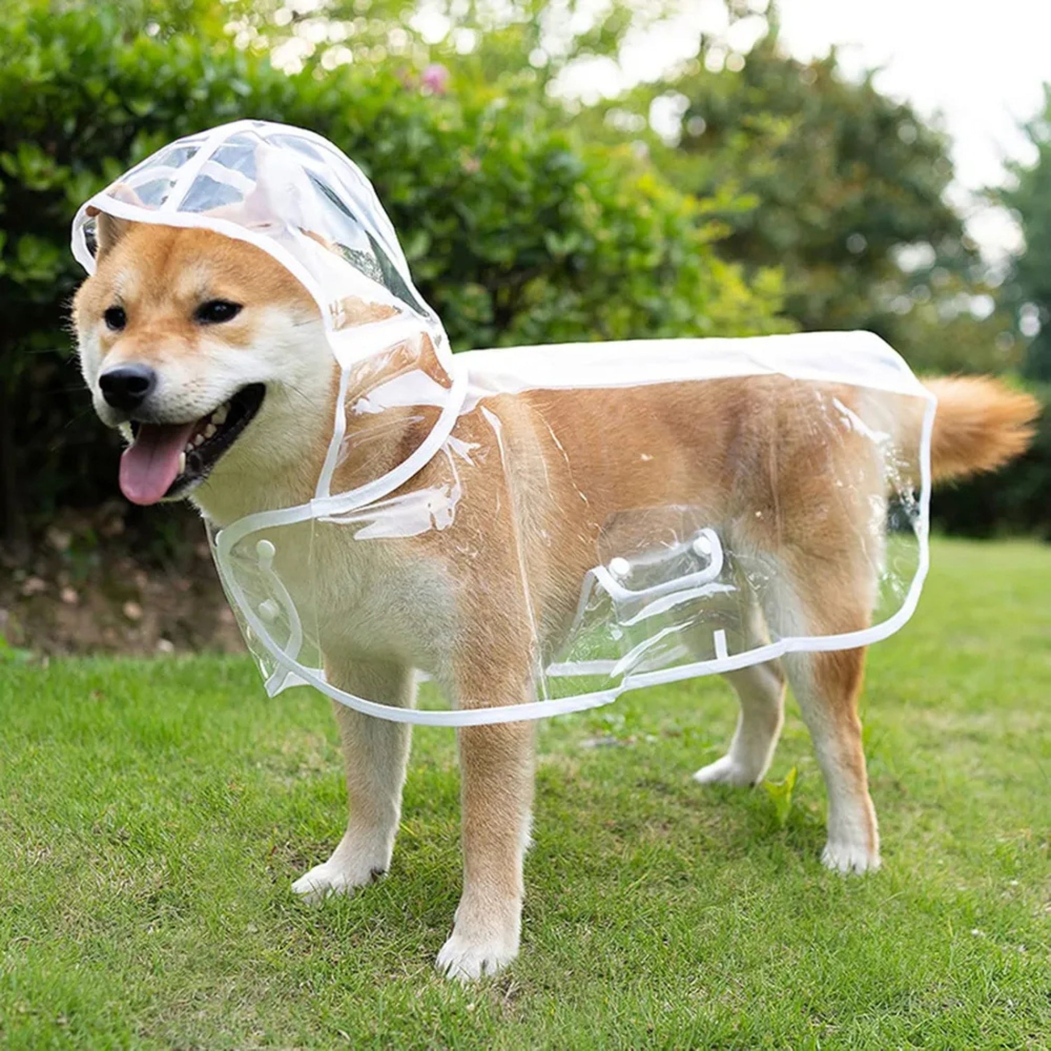 Capa De Lluvia Impermeable Transparente Para Perros Mascotas