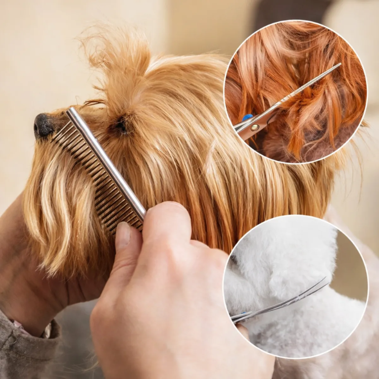 Set Tijeras Peluqueria Canina Kit Corte Pelo Mascotas Perros