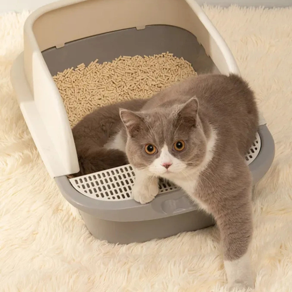 Arena Sanitaria Para Gatos De Tofu Arena Biodegradable 2kg