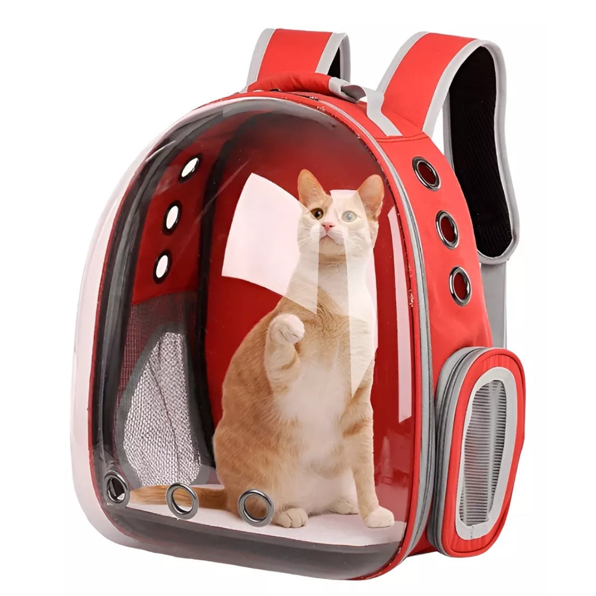 Mochila Gato Transportes Transparente Mascotas Gatos Bolso