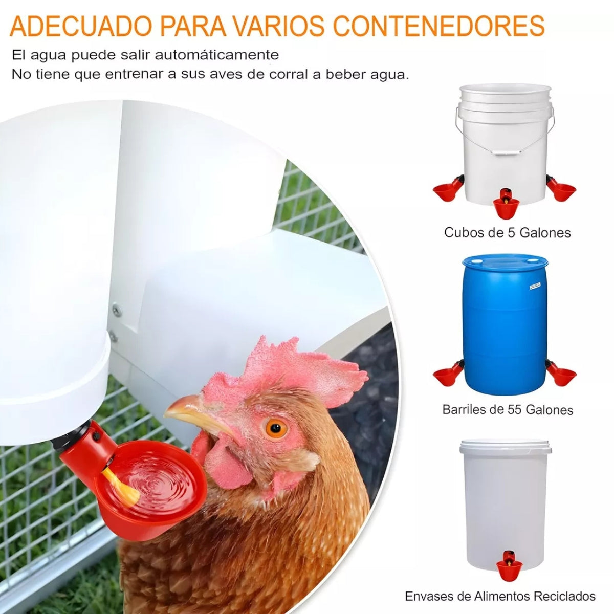 Bebedero Automático Aves Gallinas Pájaros Bebederos Pollos