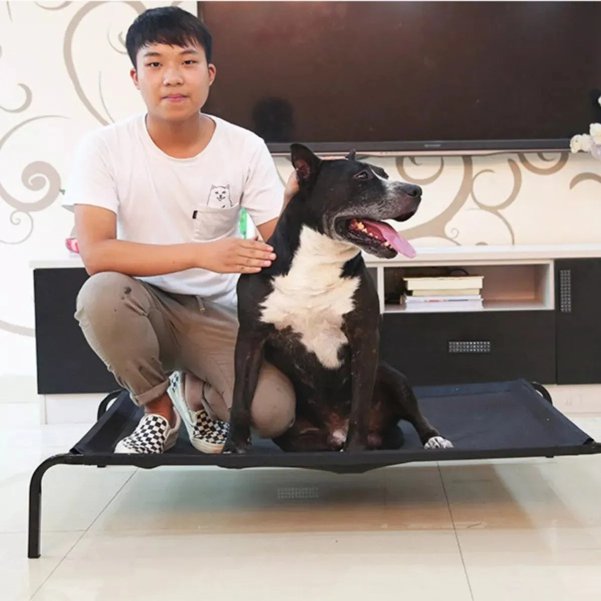 Cama Antiestres Perro Para Tus Mascotas Perros Mediano Elevada L