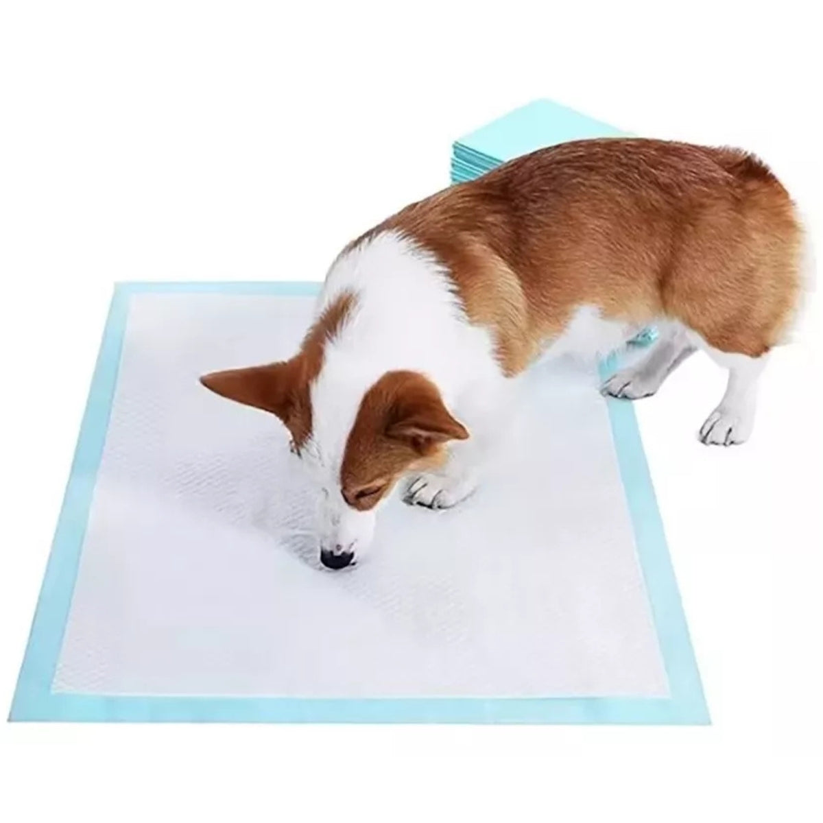 Sabanillas Para Mascotas 60x90 Baños Sanitario Pañales Para Perros Mascotas