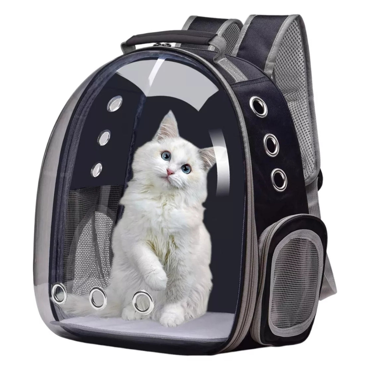 Mochila Gato Transportes Transparente Mascotas Gatos Bolso