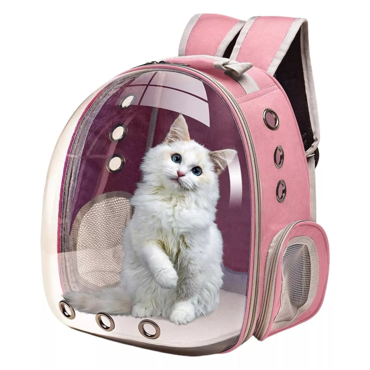 Mochila Gato Transportes Transparente Mascotas Gatos Bolso