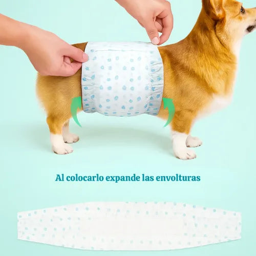 12 Pañales Para Perros Mascotas Pañal Desechable Perro