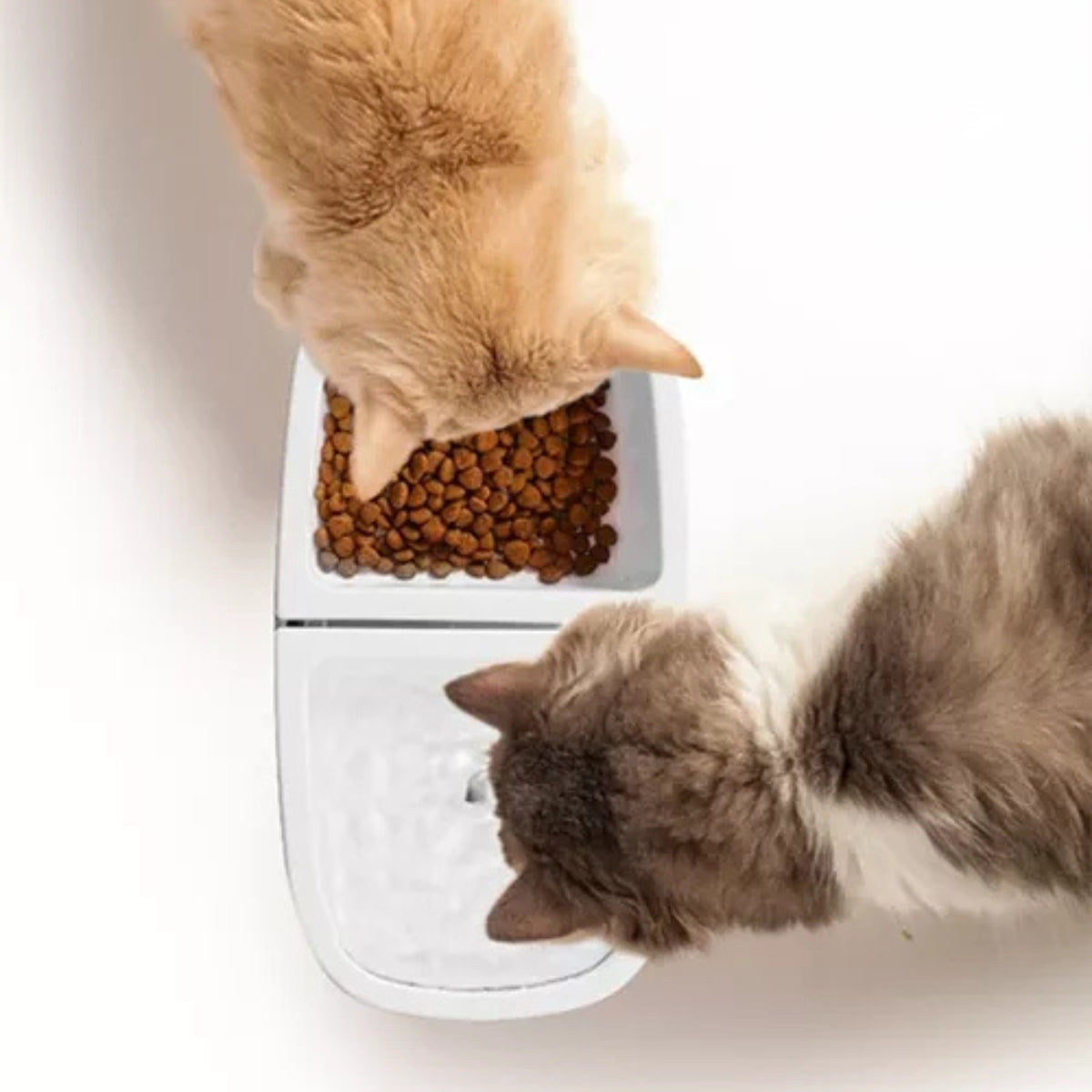 Dispensador Automatico Agua Perros Gatos Comedero Mascotas
