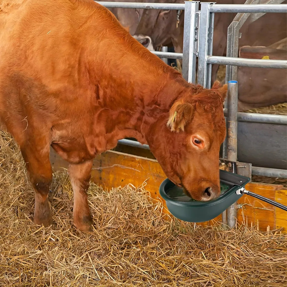 Bebedero Automatico Para Caballos Ovejas Vacas Cuenco Grande