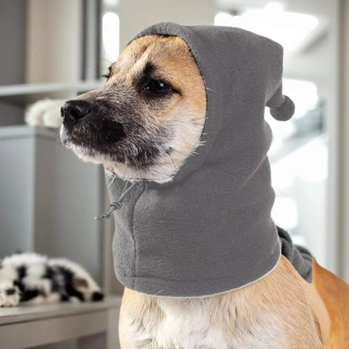 Gorro Calentador Orejas Cuello Para Perros Mascotas Invierno