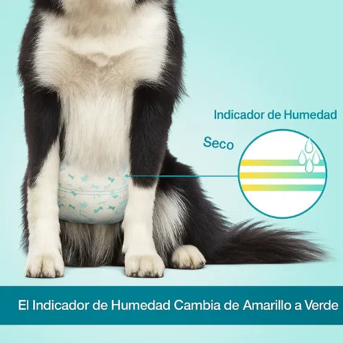12 Pañales Para Perros Mascotas Pañal Desechable Perro