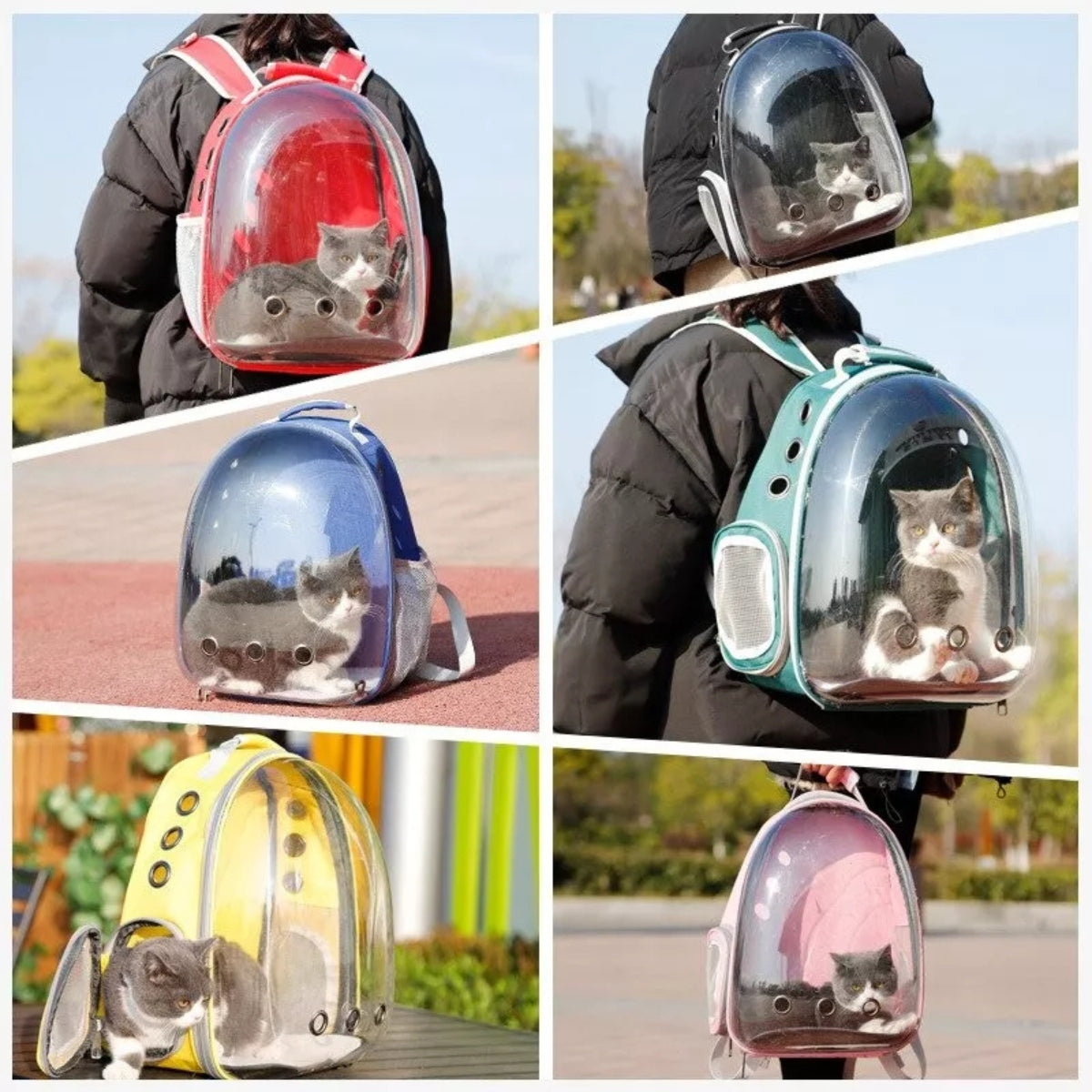 Mochila Gato Transportes Transparente Mascotas Gatos Bolso