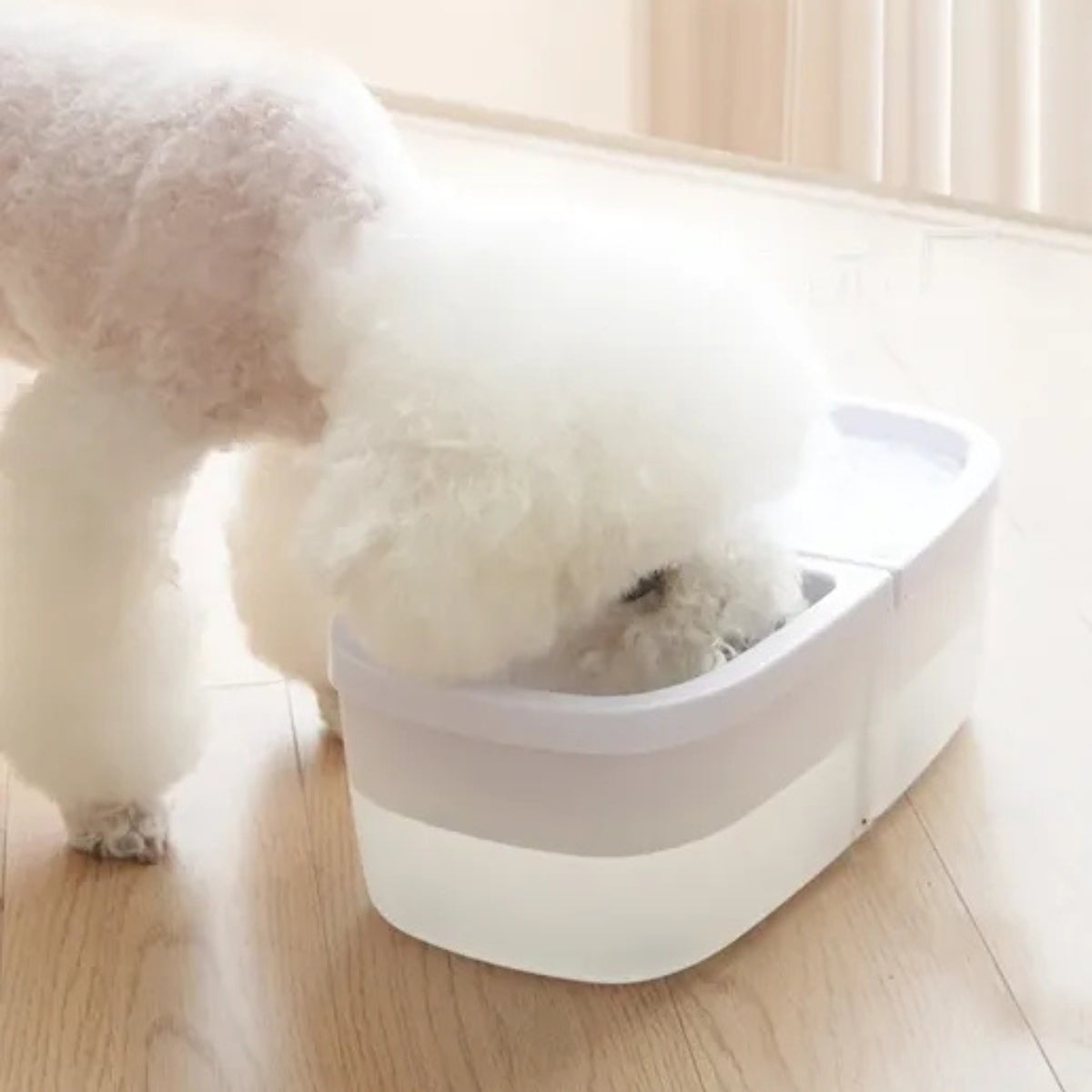Dispensador Automatico Agua Perros Gatos Comedero Mascotas