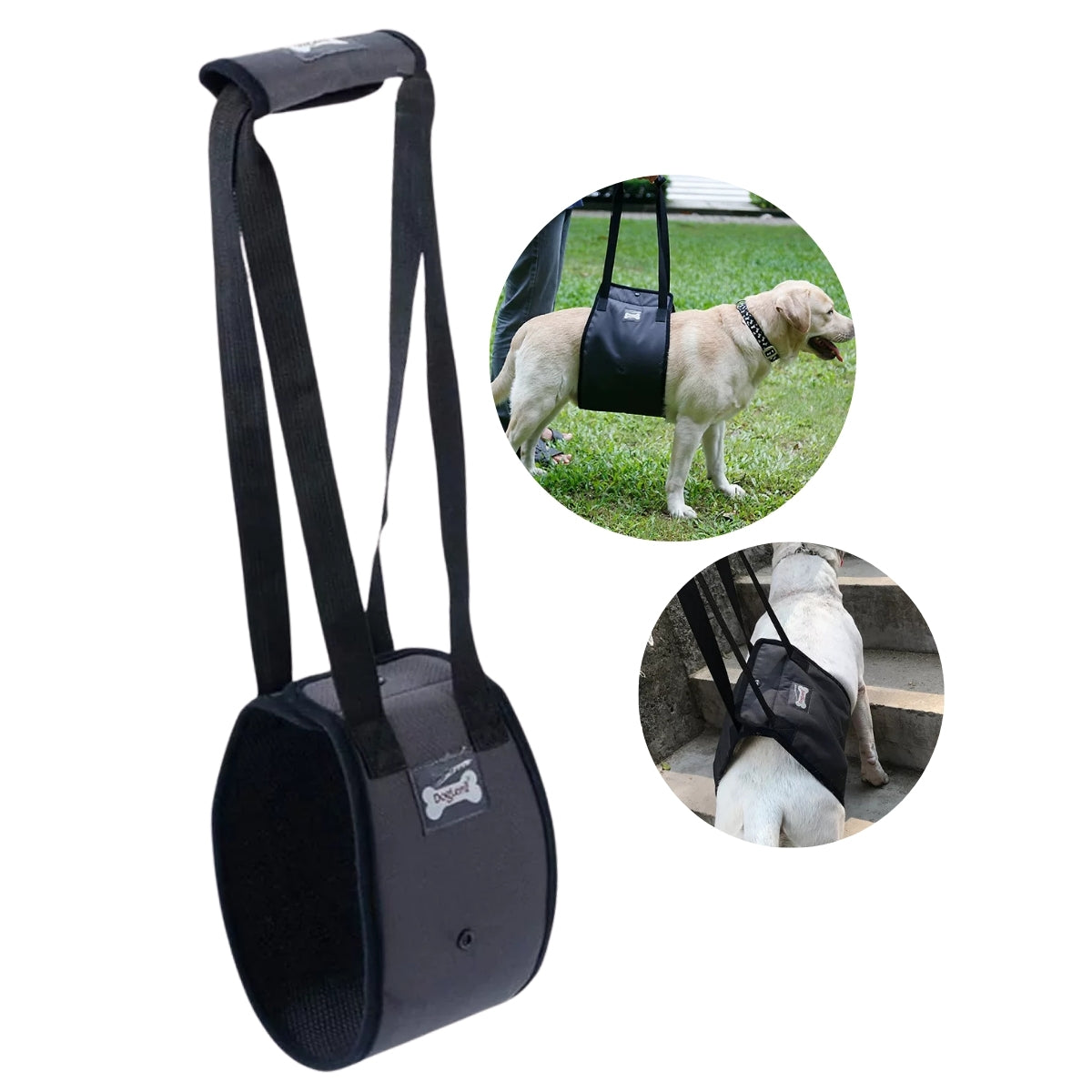 Arnes De Elevacion Para Perros Arnes Soporte Apoyo Mascotas