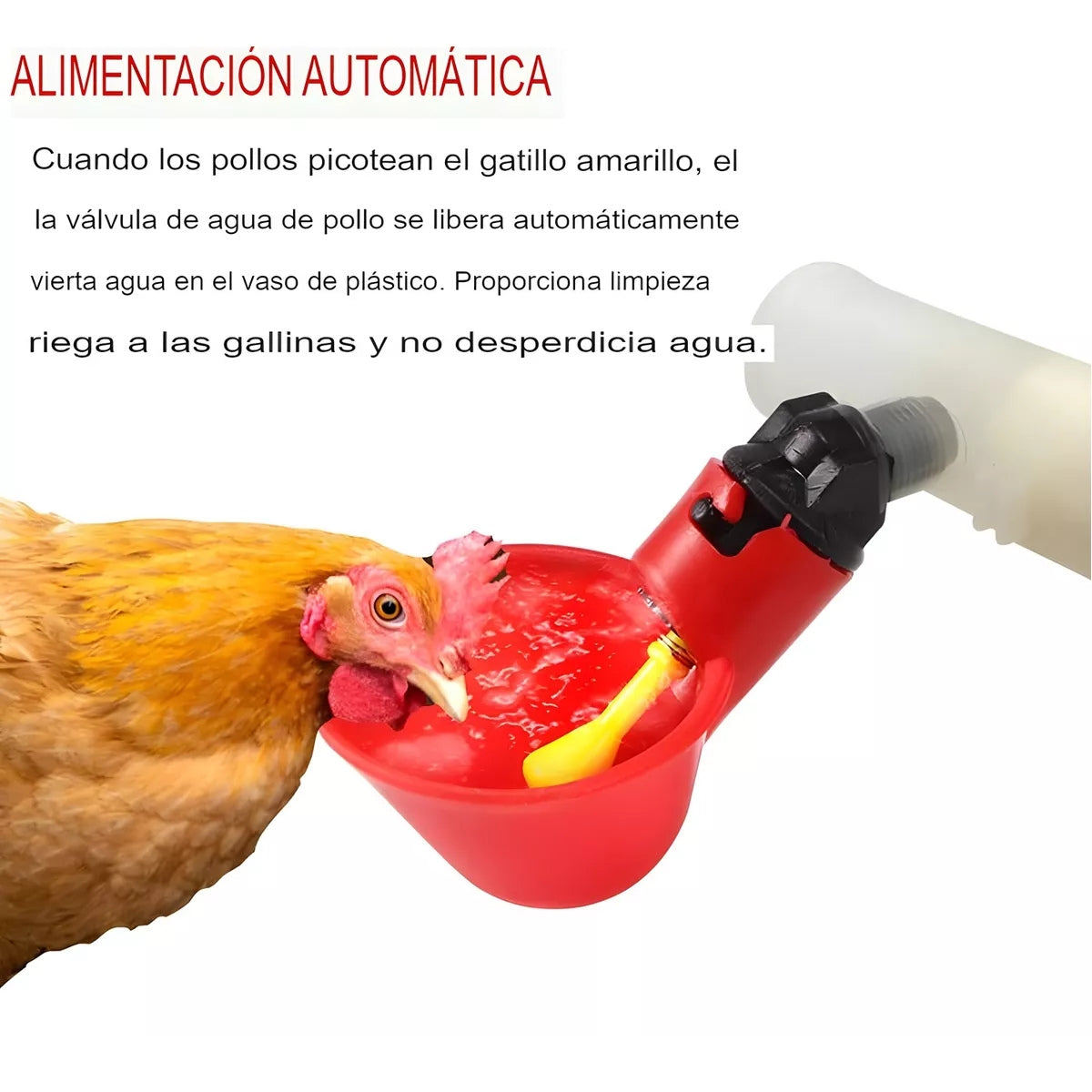 Bebedero Automático Aves Gallinas Pájaros Bebederos Pollos