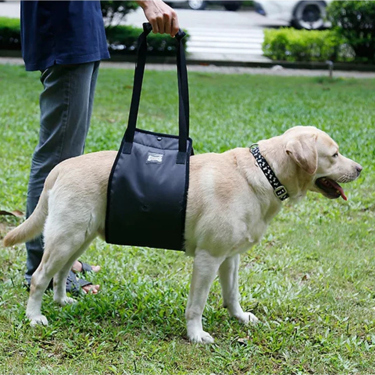 Arnes De Elevacion Para Perros Arnes Soporte Apoyo Mascotas