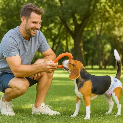 10 Pañales Para Perros Hembra Pañal Comodidad y Higiene Mascotas pañal Desechables