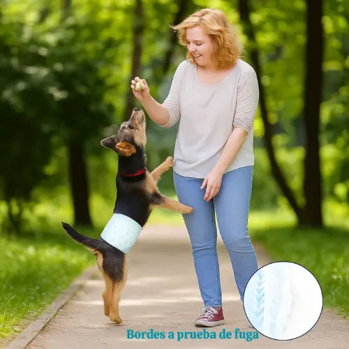 12 Pañales Para Perros Mascotas Pañal Desechable Perro