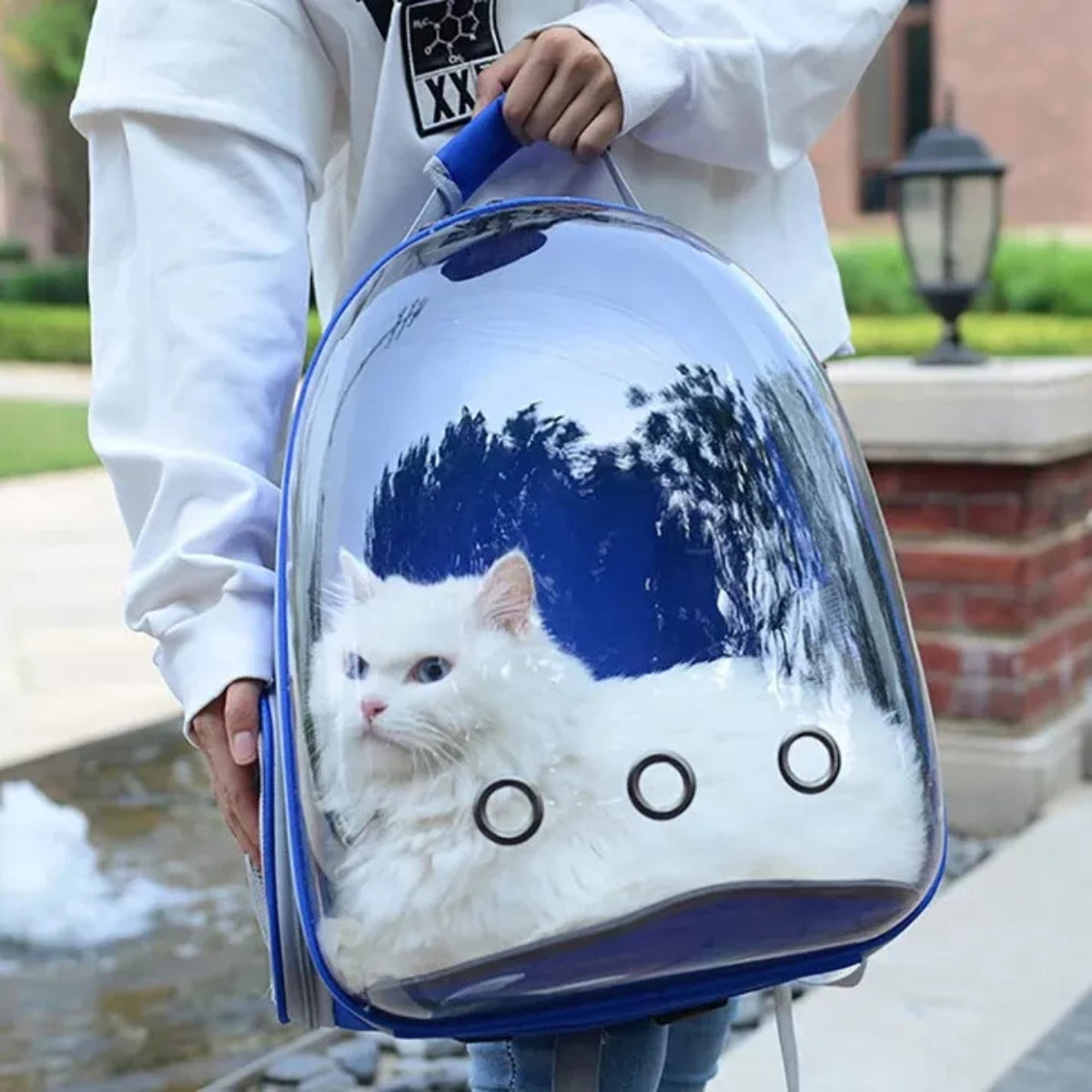 Mochila Gato Transportes Transparente Mascotas Gatos Bolso