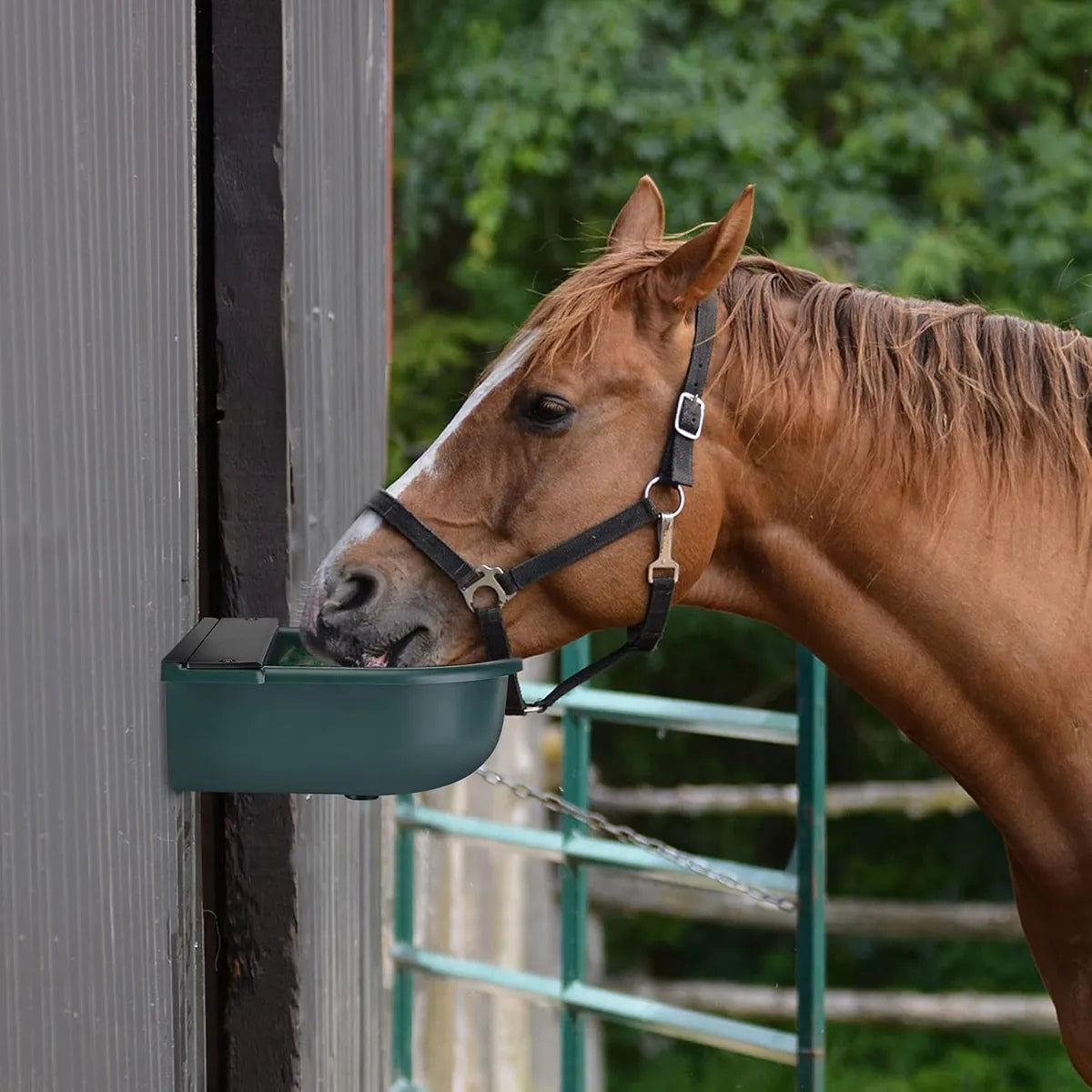 Bebedero Automatico Para Caballos Ovejas Vacas Cuenco Grande