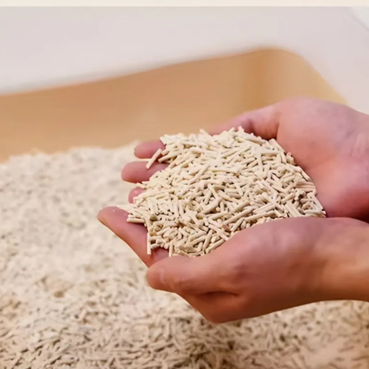 Arena Sanitaria Para Gatos De Tofu Arena Biodegradable 2kg