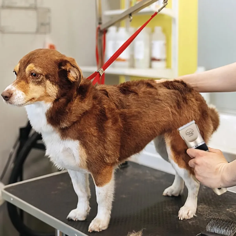 Maquina Corta Pelo Perro Mascotas Cortadora Estética Cuidado