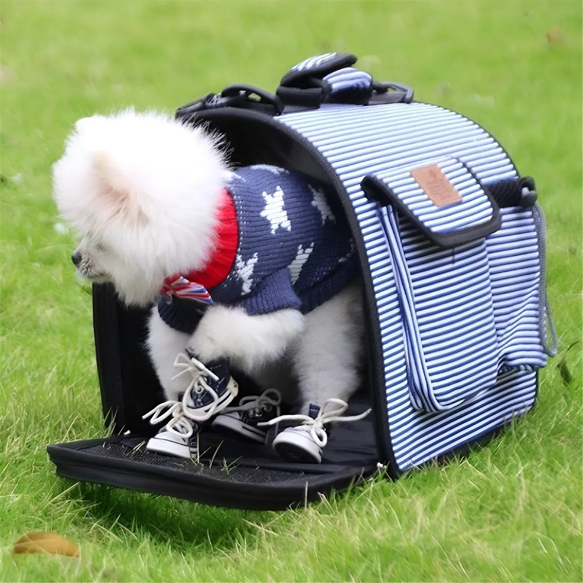 Bolso Transportador grande L Gato Mochila Transporte Perro Mascotas L