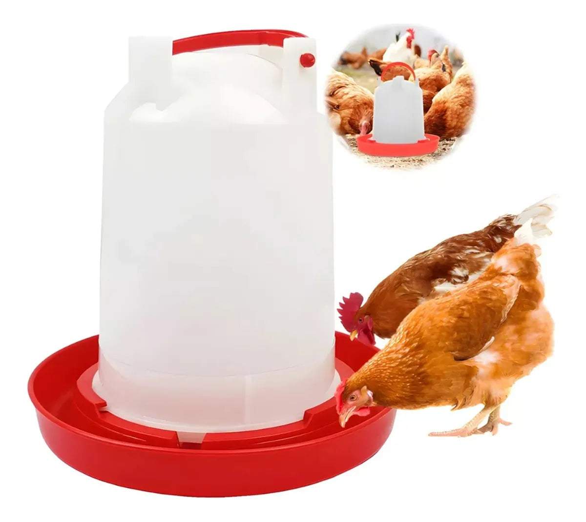 Bebedero Gallinas Pollos Granja Bebederos Aves Pajaros 6 Lts