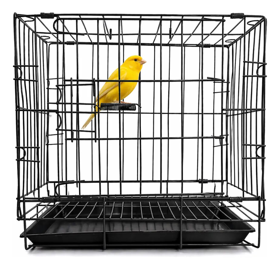 Jaula Para Aves Loros Jaulas Mascotas Conejos Jaula Metálica