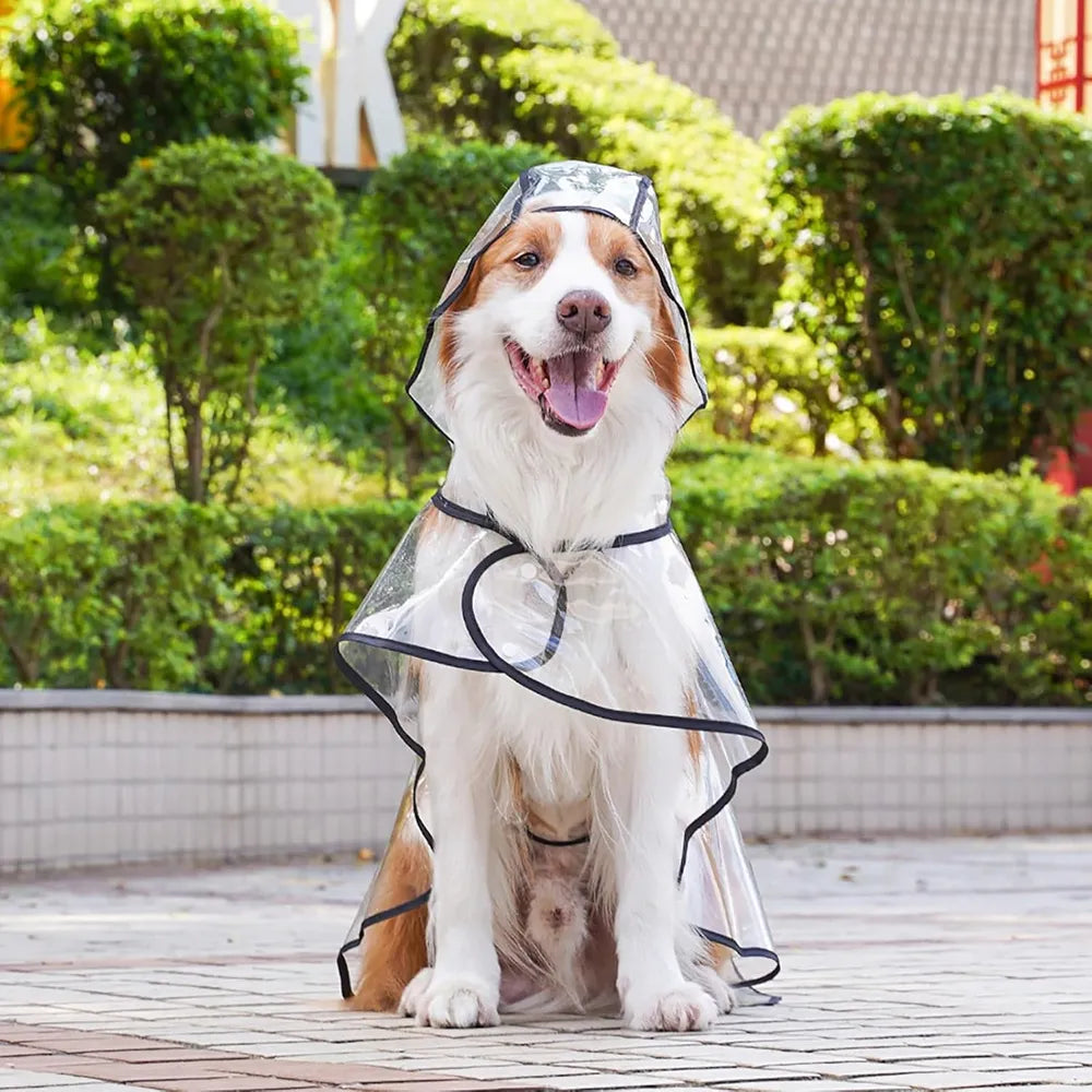 Capa De Lluvia Impermeable Transparente Para Perros Mascotas