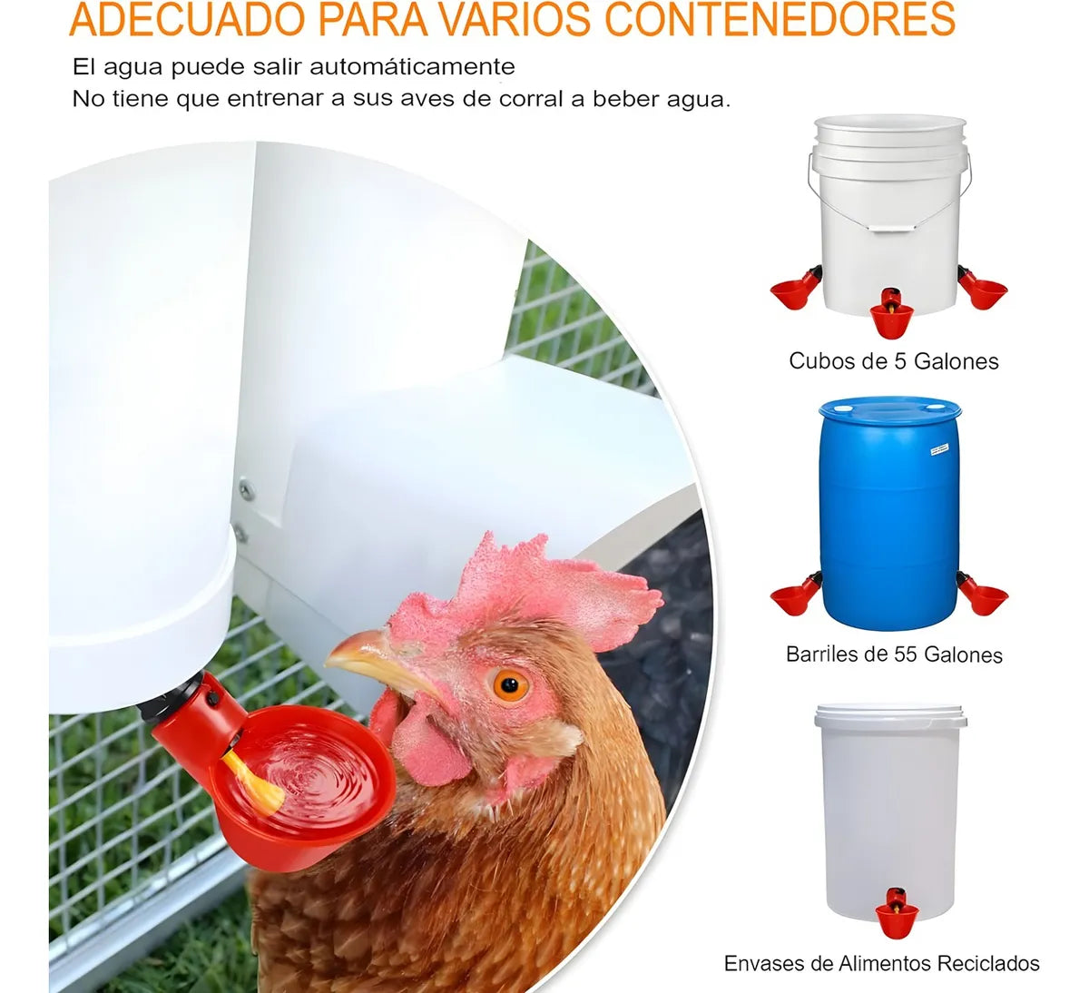 24 Bebedero Pollos Pajaros Gallinas Bebedero Automatico Aves