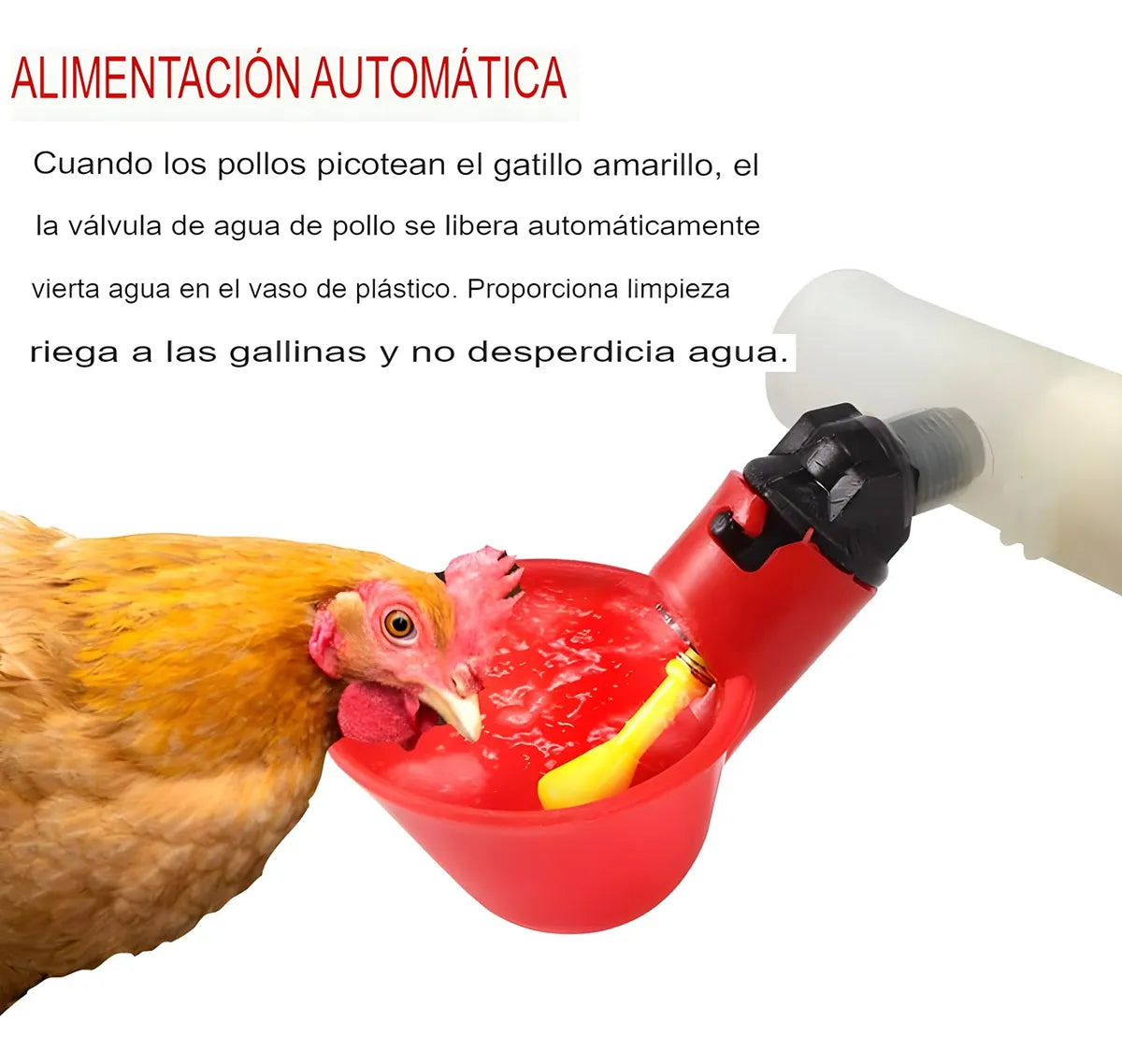 24 Bebedero Pollos Pajaros Gallinas Bebedero Automatico Aves