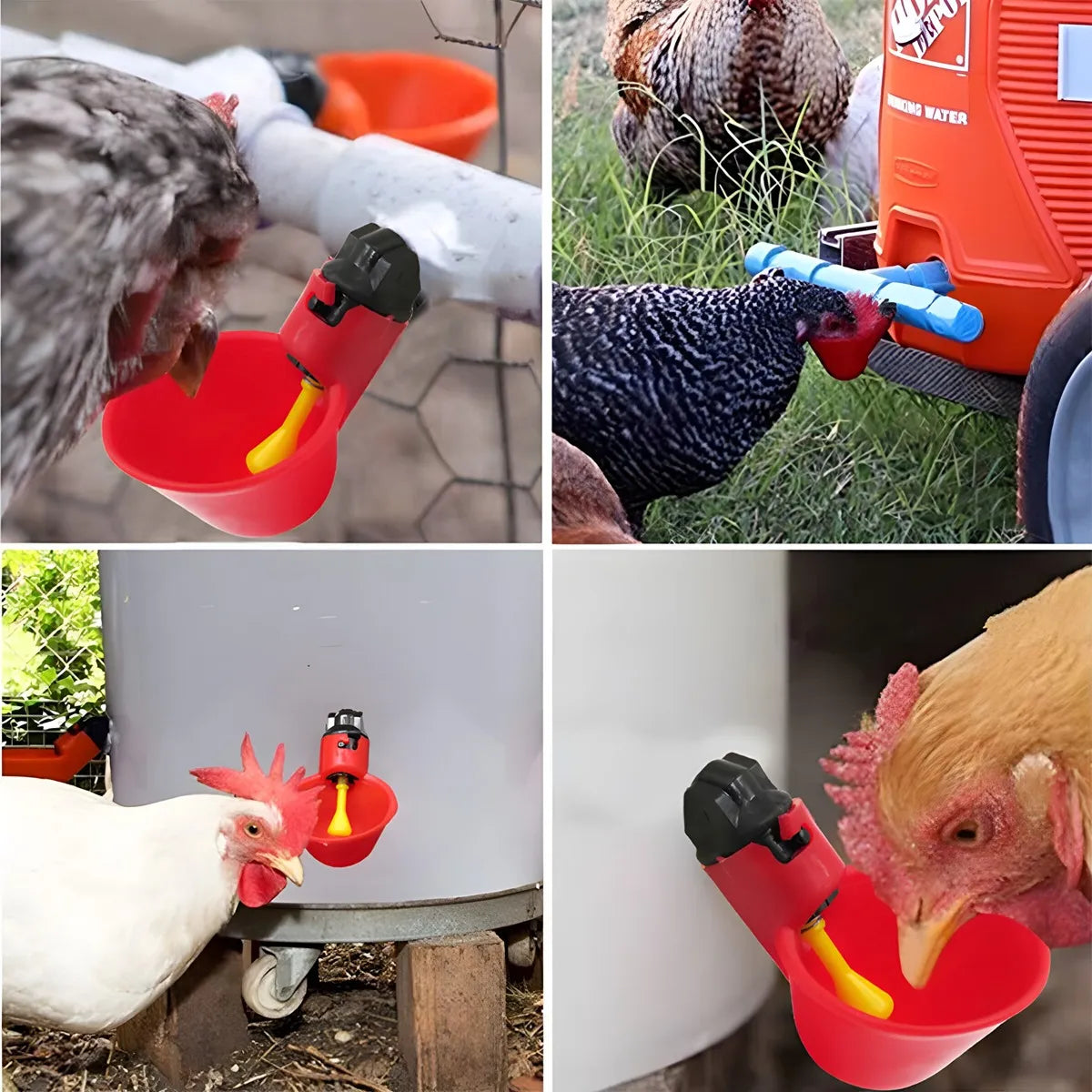 24 Bebedero Pollos Pajaros Gallinas Bebedero Automatico Aves