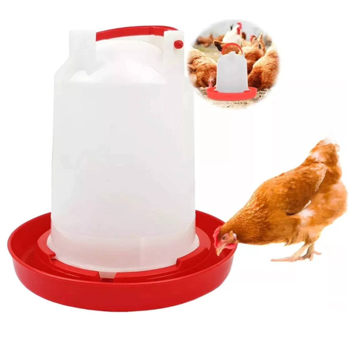 Bebedero Pollos 3 Lts Aves Pajaros Bebederos Gallinas Granja