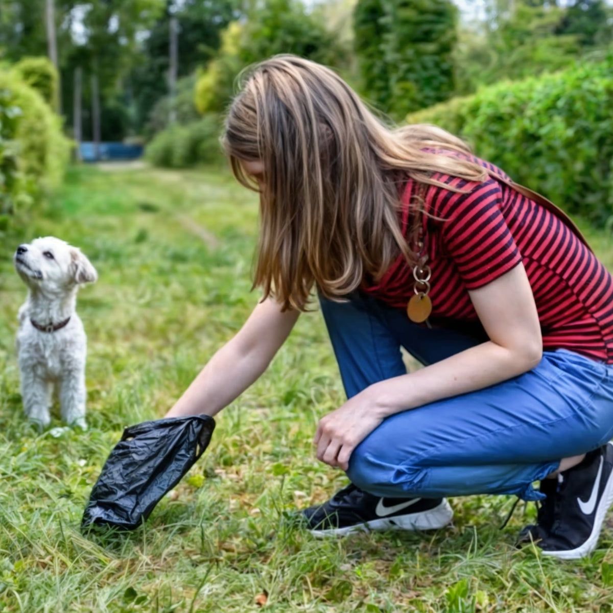 20 Rollos Bolsas Para Excremento De Perro Bolsas Biodegradab