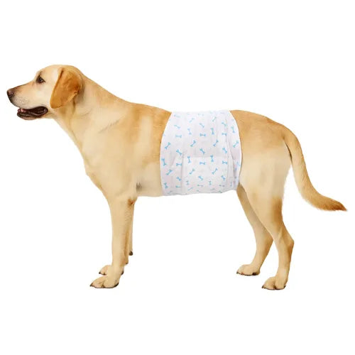 12 Pañales Para Perros Mascotas Pañal Desechable Perro