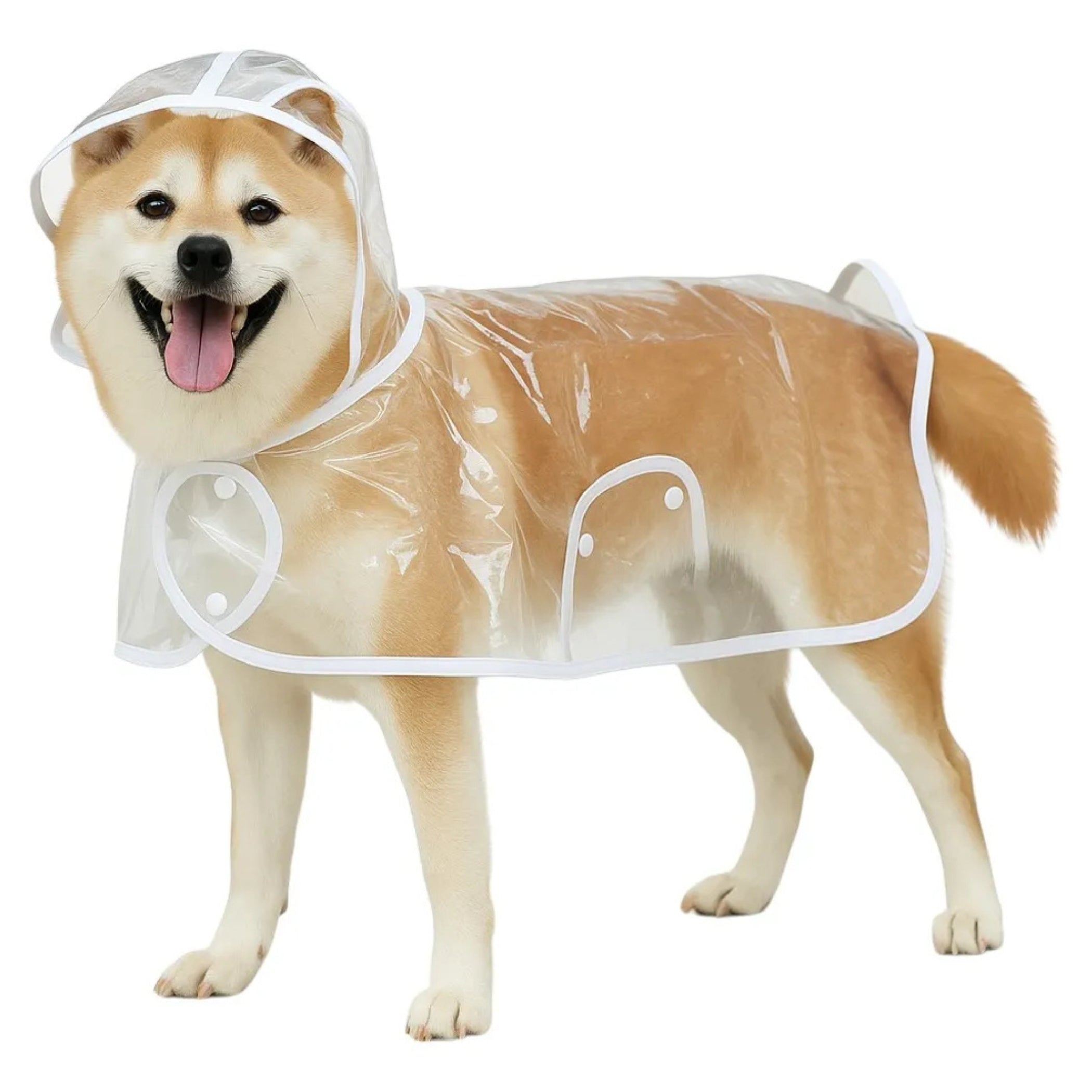 Capa De Lluvia Impermeable Transparente Para Perros Mascotas