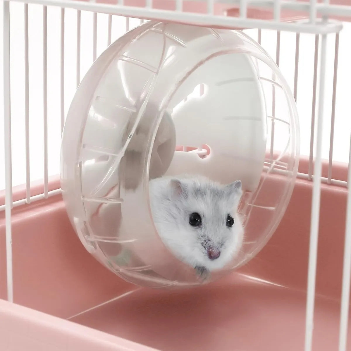 Jaula Rueda Hamster Cobaya Huron Raton Erizo Jaula Raton