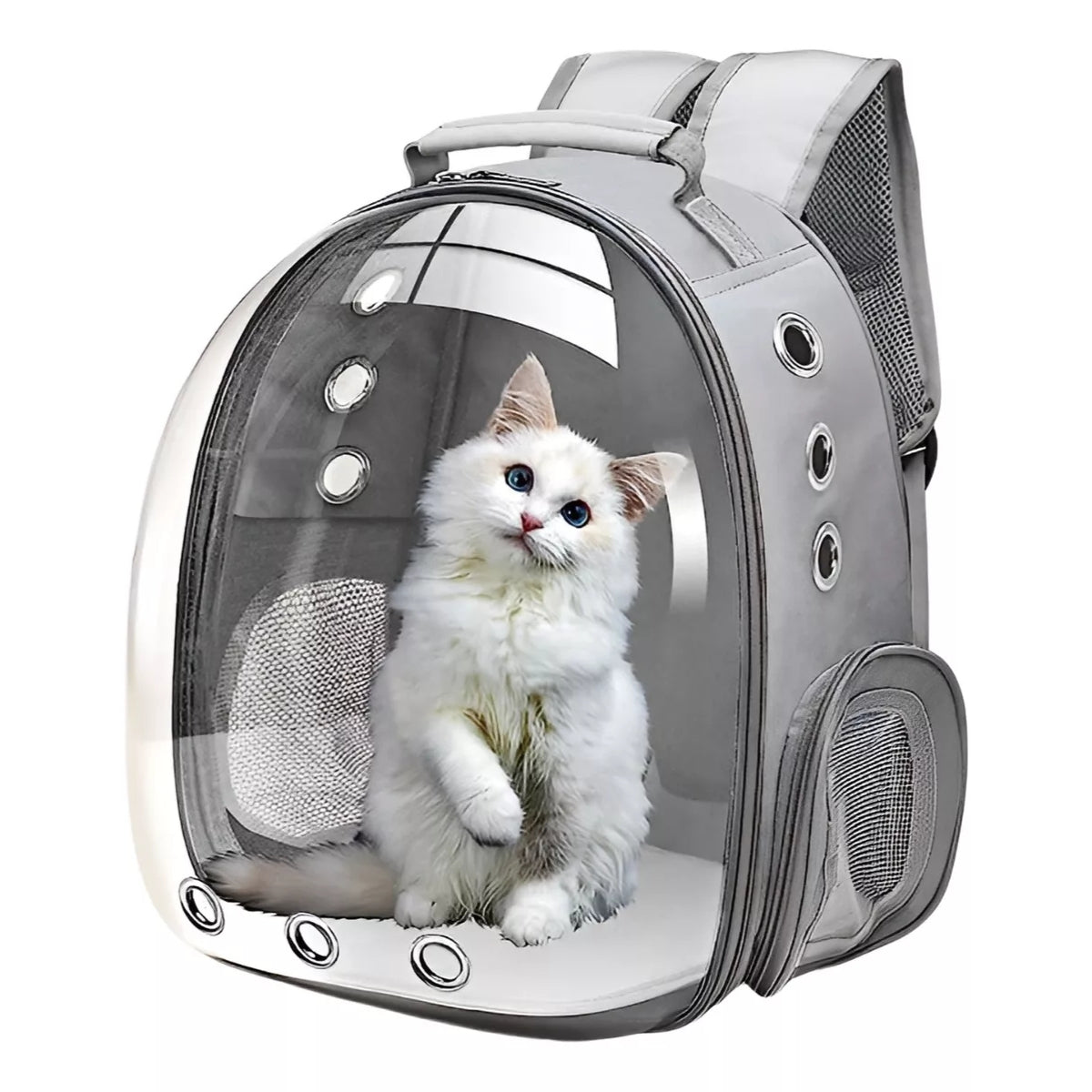 Mochila Gato Transportes Transparente Mascotas Gatos Bolso